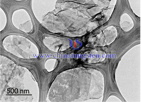 low layer tungsten disulfide SEM image