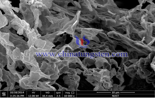少层二硫化钨SEM图片